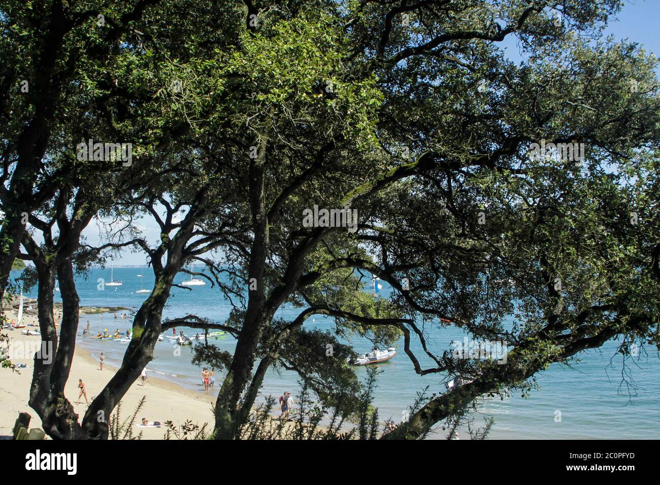 La spiaggia di sabbia alberata chiamata Plage Sableaux, Noirmoutier Foto Stock