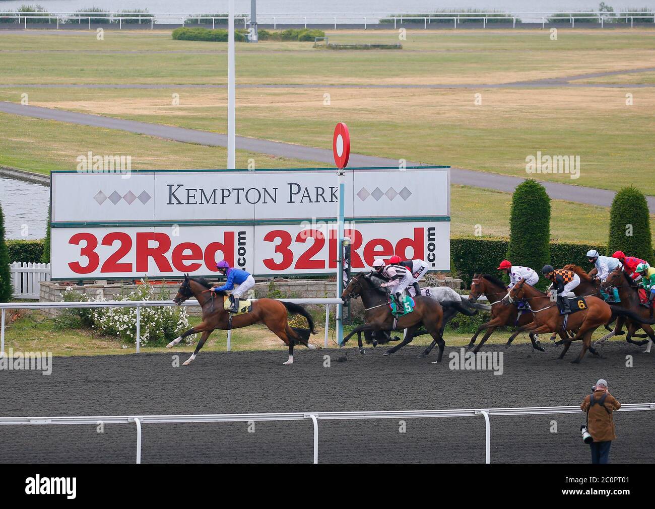 Palavecino guidato da Martin Dwyer guida il pack durante il primo giro prima di andare avanti a vincere la Unibet 3 Uniboosts A Day handicap al Kempton Park Racecourse. Foto Stock