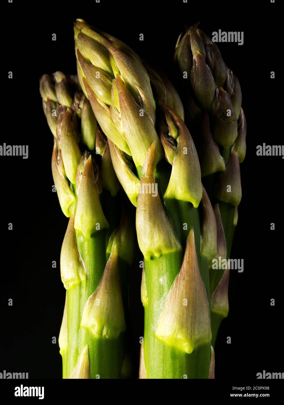 Tre spighe di asparagi freschi su fondo nero Foto Stock