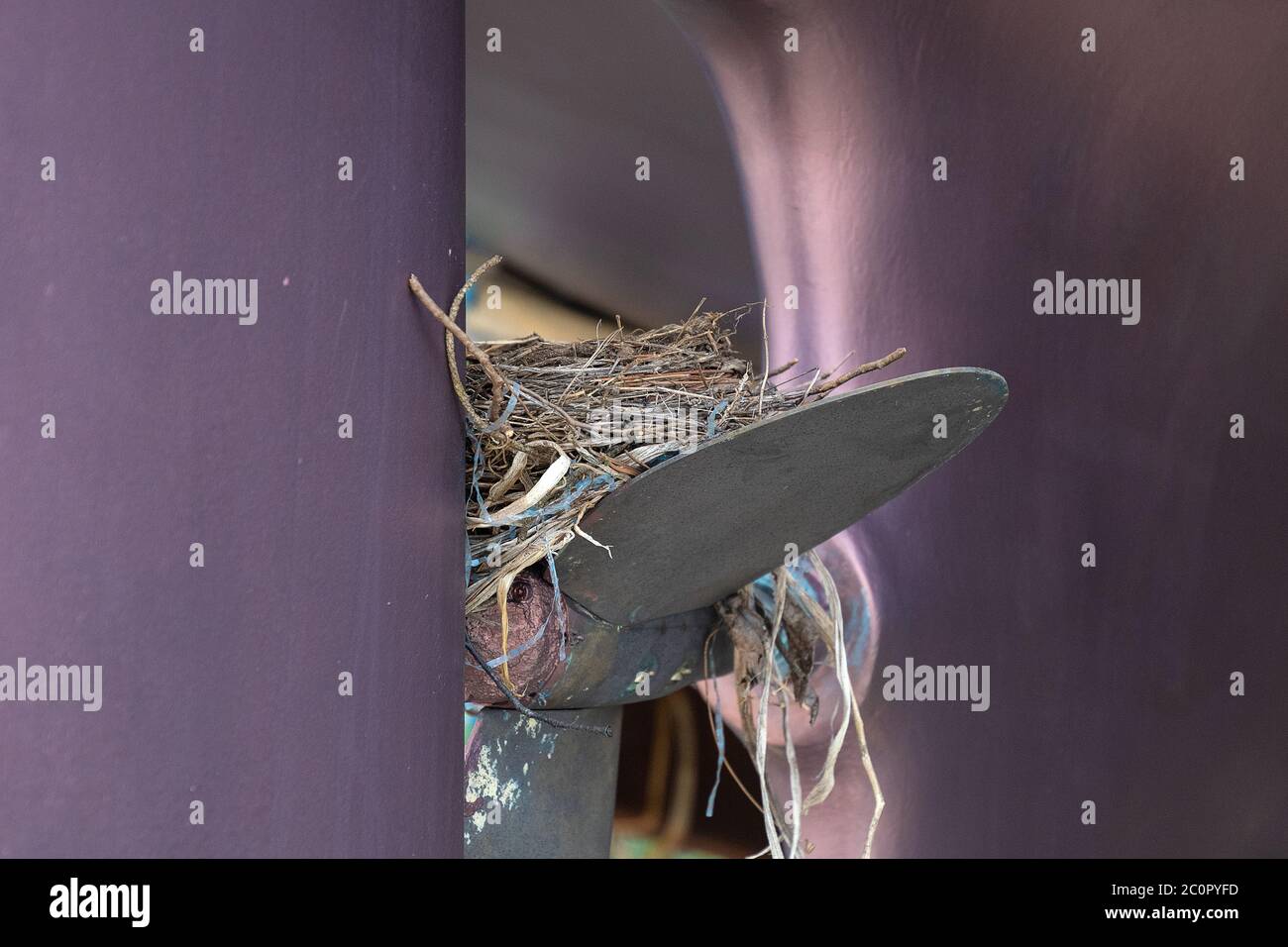primo piano di nido robin vuoto su elica della barca Foto Stock