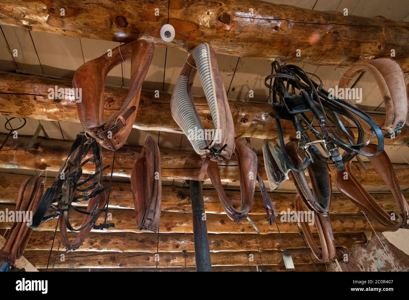 Imbracature sul soffitto del negozio presso il sito storico nazionale Hubbell Trading Post, riserva indiana Navajo, Ganado, Arizona, Stati Uniti Foto Stock