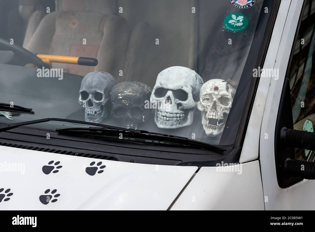Teschi sul cruscotto di un furgone. Foto Stock