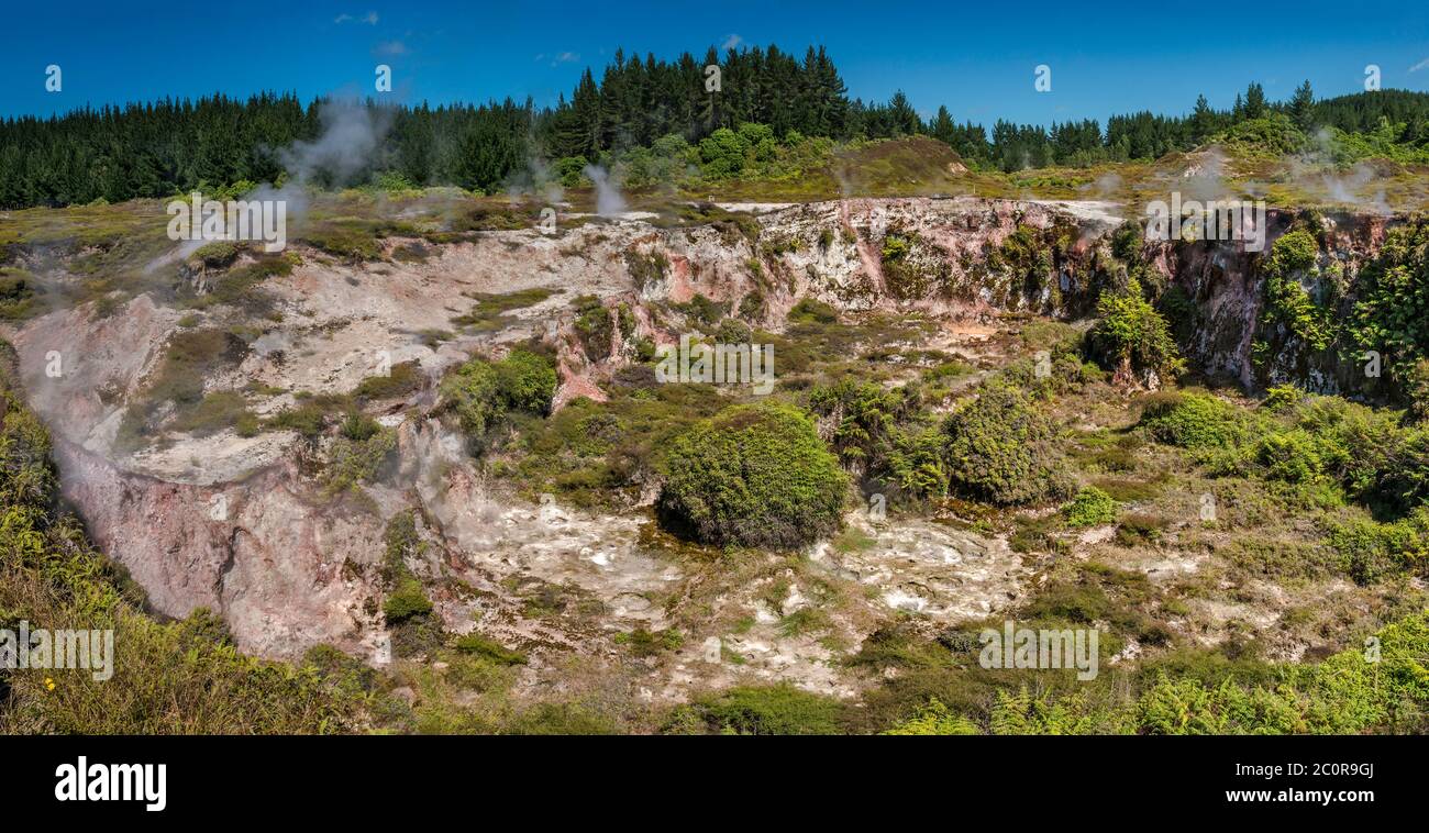 Sfiati a vapore al cratere, Craters of the Moon Thermal Area, Waikato Region, North Island, New Zealand Foto Stock