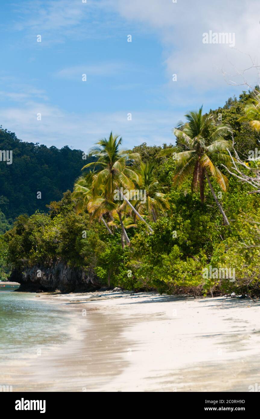 Morbide onde schiacciamento sulla riva di una spiaggia in Raja Ampat Foto Stock