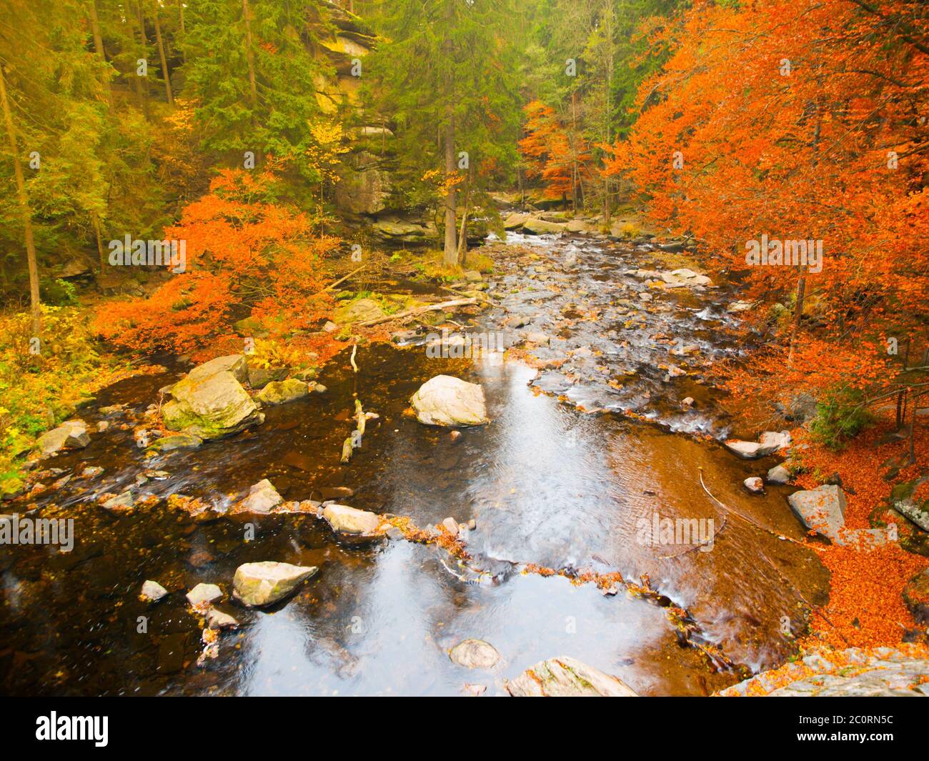 Piccolo fiume in autunno con un albero deciduo colorato intorno. Foto Stock