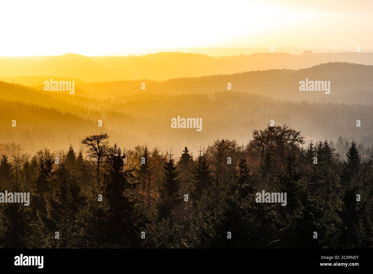 L'autunno è illuminato dal sole sopra le cime delle montagne, Eagle Mountains, Orliche Hory, Repubblica Ceca. Foto Stock