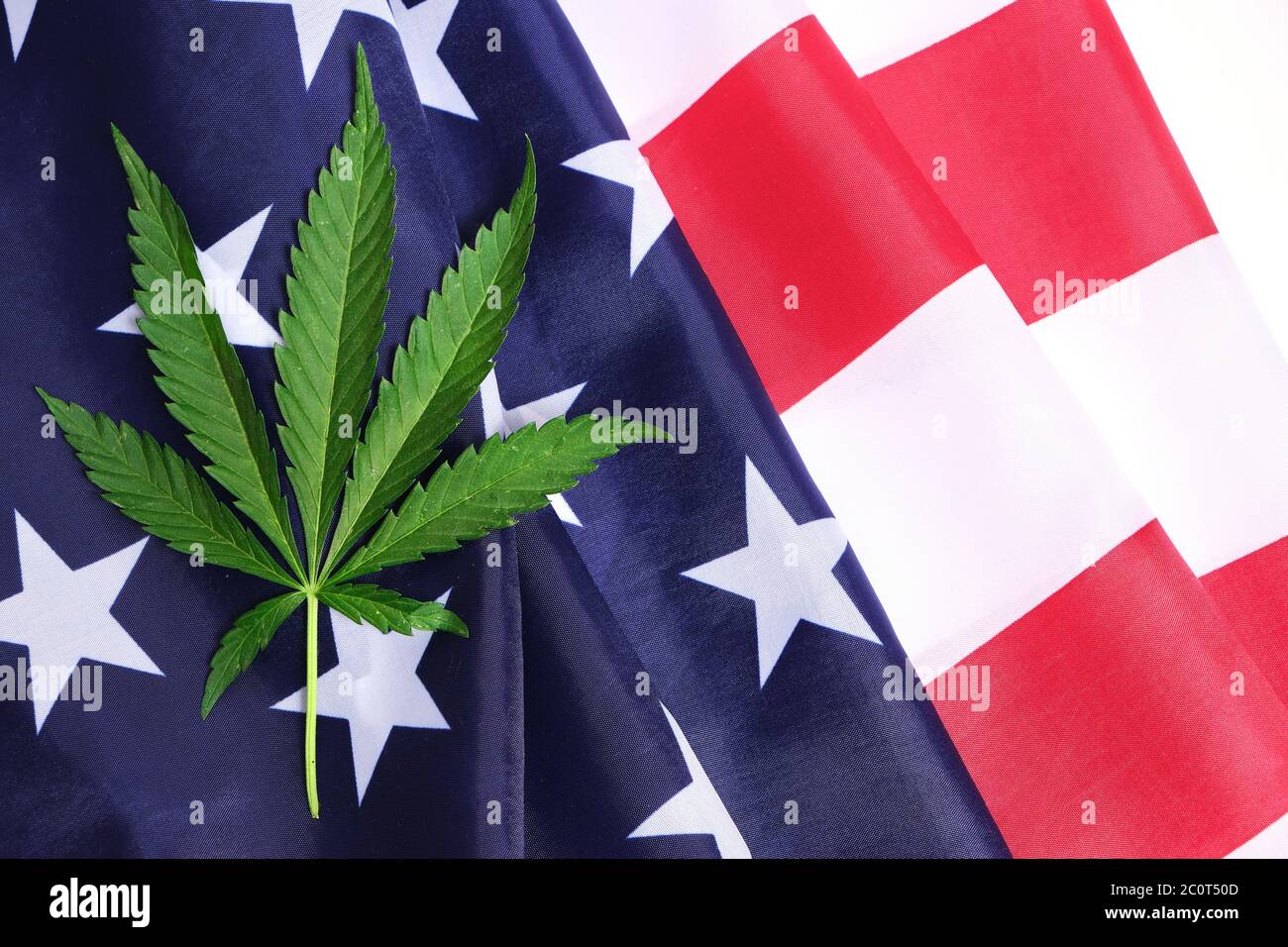 Foglia di canapa verde su bandiera a stella degli Stati Uniti d'America Foto Stock