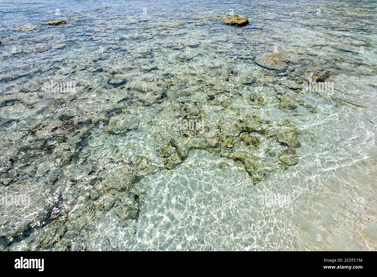 Shore reefs di corallo Foto Stock