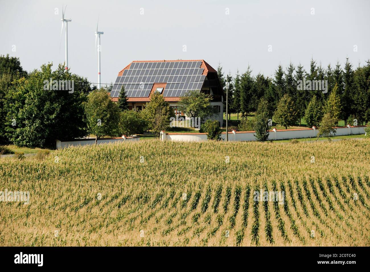 GERMANIA, mix energetico, transizione energetica, villaggio con energia eolica, casa con pannello solare, campo di mais, mais è utilizzato in impianti di biogas Foto Stock