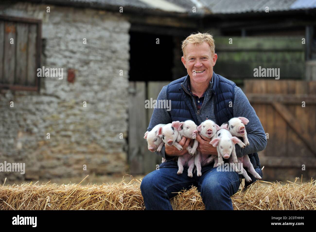 Questo piccolo piggy non dovrà rimanere a casa per molto più tempo, come il governo annuncia che le restrizioni sono state abolite su giardini zoologici, fauna selvatica e animali par Foto Stock