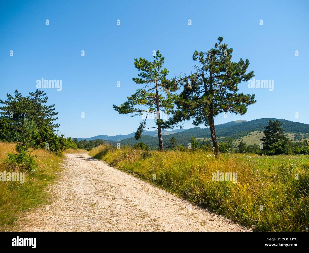 Polverosa strada di campagna nel paesaggio del Carso Verde, Slovenia. Foto Stock