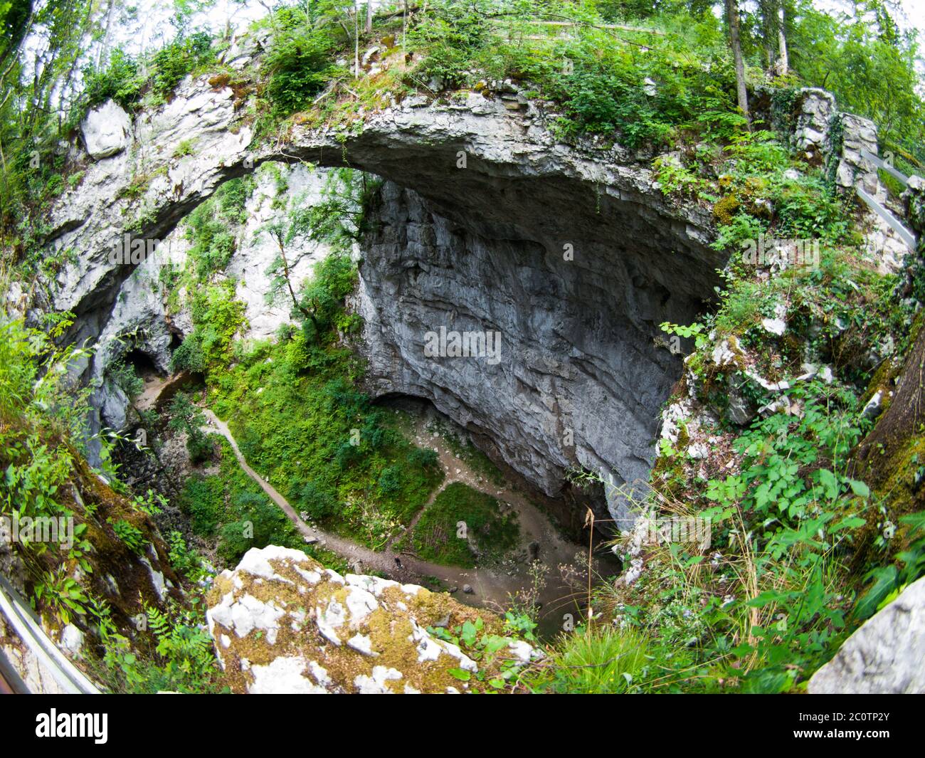 Veduta aerea di Rakov Skocjan - valle fatta dal fiume Rak. Ponte di pietra calcarea naturale sopra il canyon e stretto sentiero sul fondo, Slovenia Foto Stock