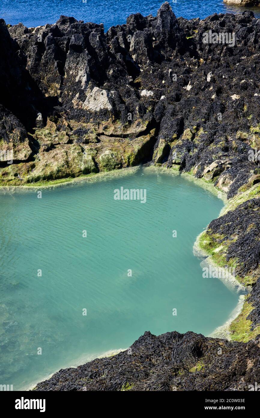 Rocce nere a Pooil Vaaish (Pool of Death) vicino a Castletown, Isola di Man con salvia piscina di roccia colorata Foto Stock