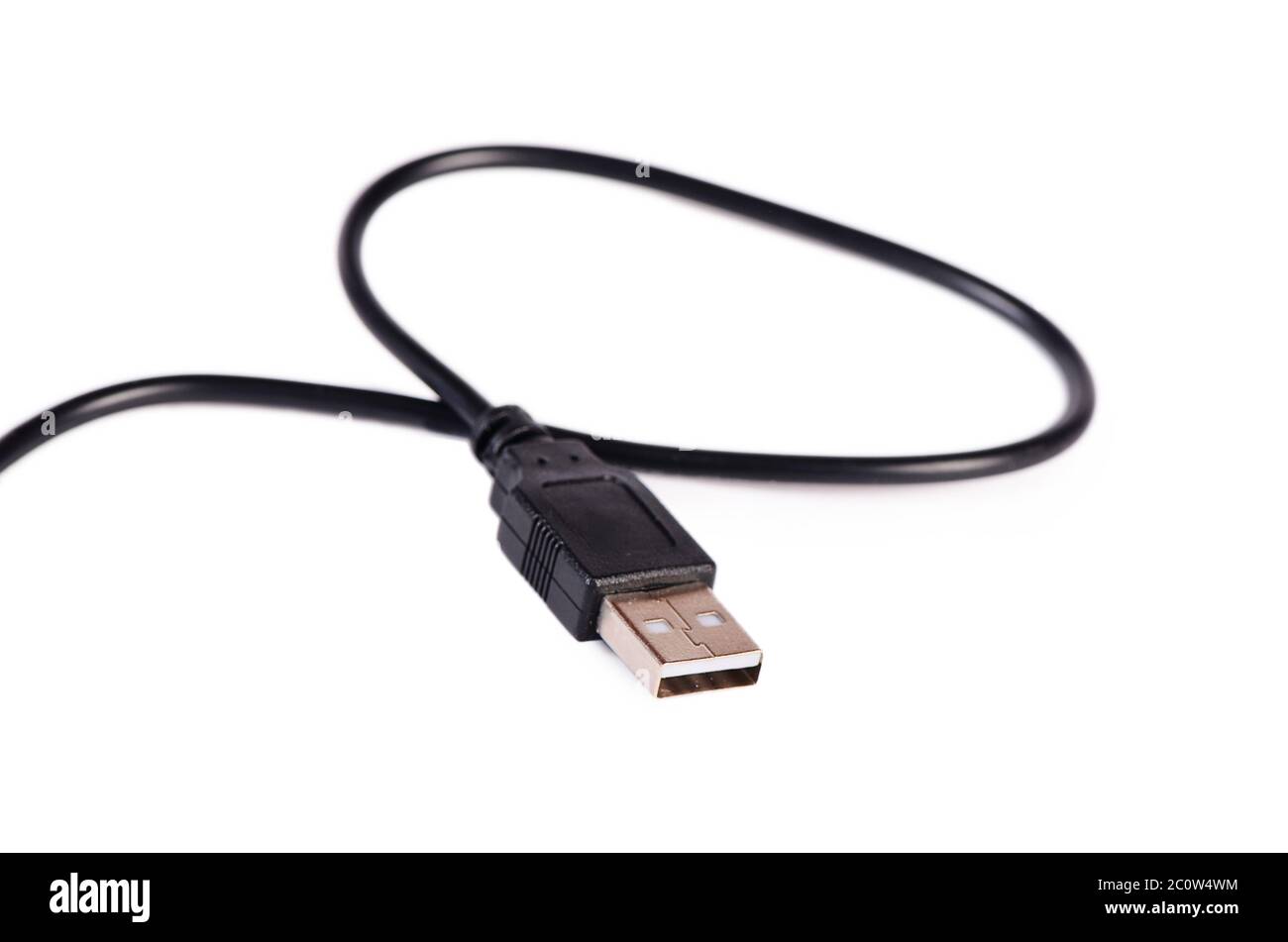 Connettore maschio per cavo USB isolato su bianco Foto Stock