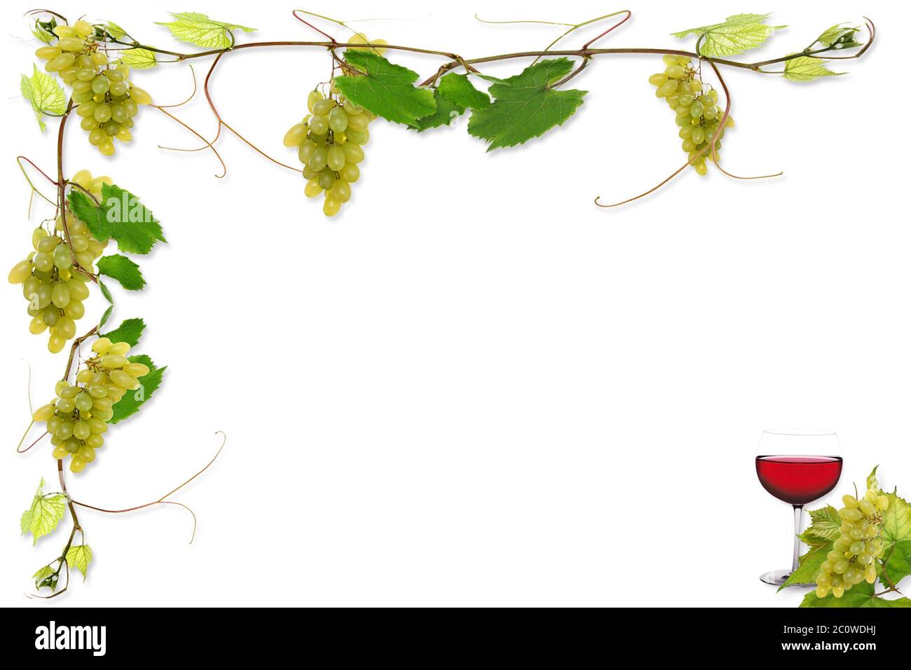 Calice di vetro tumbler bere bibs uve da vino annata vitigni vigneto Foto Stock