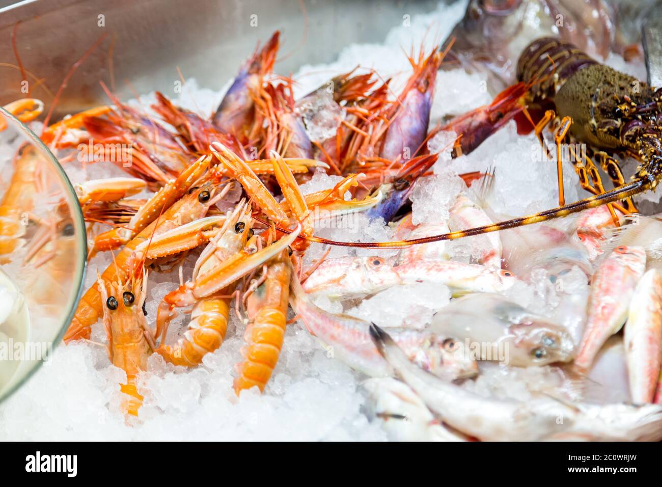 Pesce al banco nel mercato del pesce Foto Stock