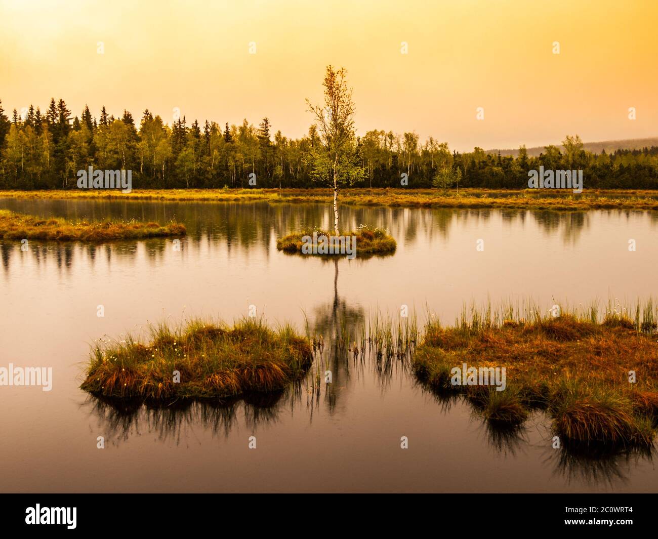 Lago di Chalupska Moor vicino a Borova Lada, Monti Sumava, Repubblica Ceca, Europa. Piccole isole con alberi nel mezzo della torba-palude. Foto Stock