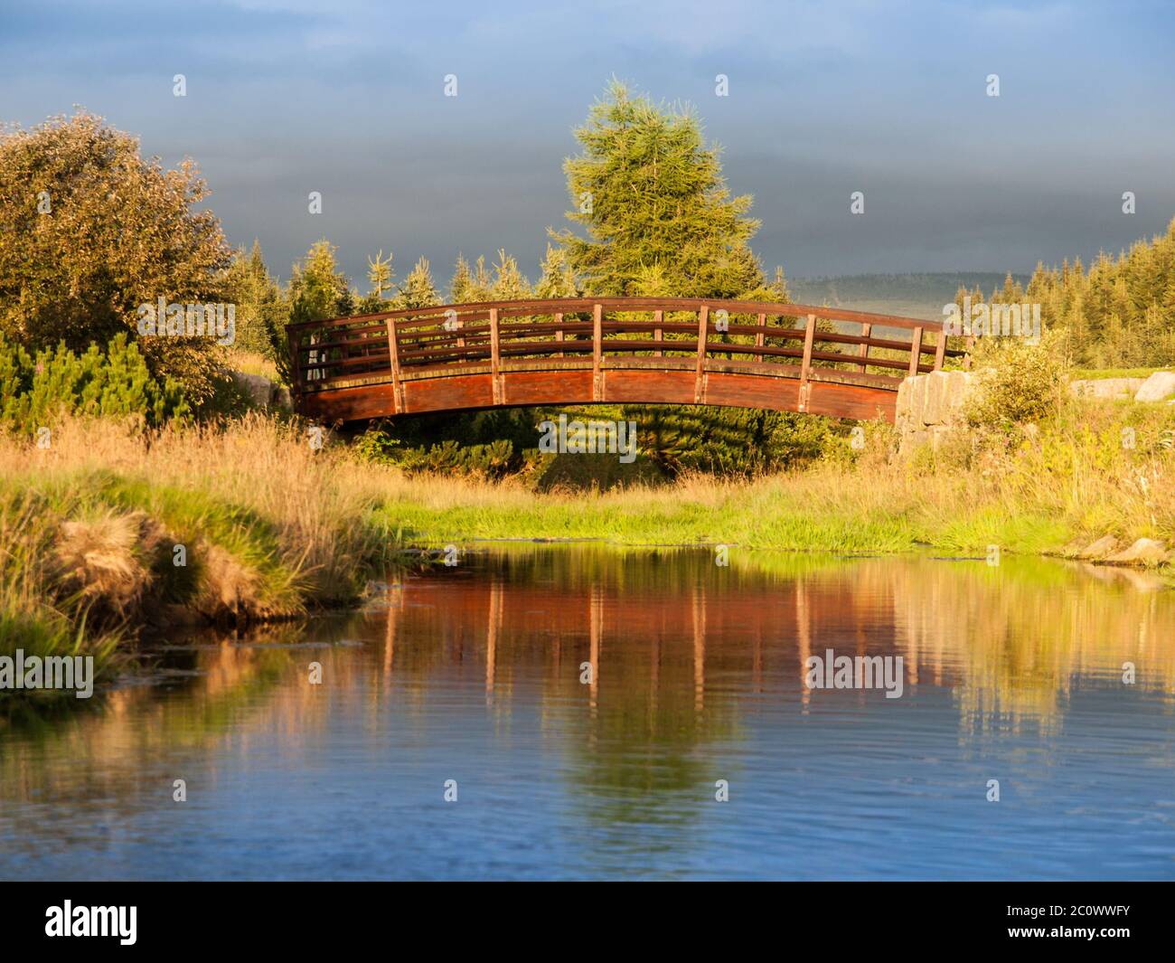 Sera paesaggio di montagna. Ponte di legno sul fiume tranquillo. Montagne di Jizera, Repubblica Ceca Foto Stock