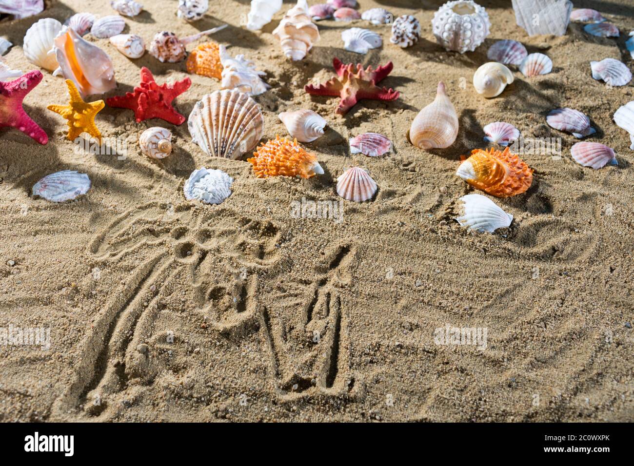 Sulla sabbia il turista scrisse un disegno - palme. Clima rilassante di una spiaggia di sabbia e di sole. Foto Stock