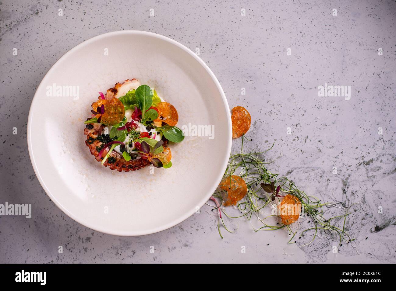 Primo piano di piatto di polpo alla griglia servito con verdure e insalata di pomodoro su piatto bianco a fuoco dolce sullo sfondo Foto Stock