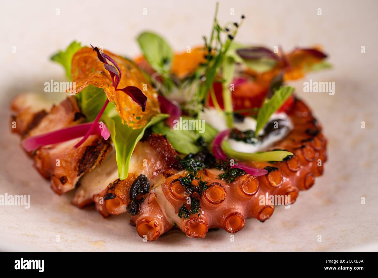 Primo piano di piatto di polpo alla griglia servito con verdure e insalata di pomodoro su piatto bianco a fuoco dolce sullo sfondo Foto Stock