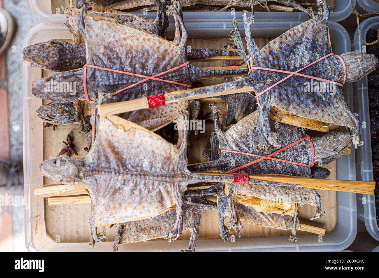 Singapore, Repubblica di Singapore, Asia - gli animali secchi (lucertole) sono in vendita in un negozio di medicina tradizionale cinese lungo South Bridge Road nel quartiere Chinatown di Singapore. Chinatown. Singapore Foto Stock