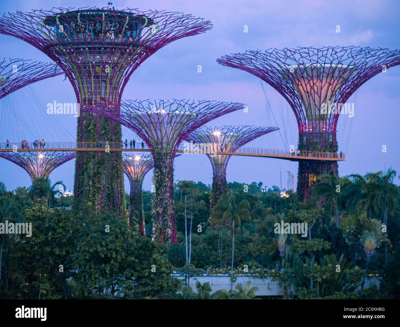 Vista notturna dei Giardini sulla Baia. Singapore Foto Stock