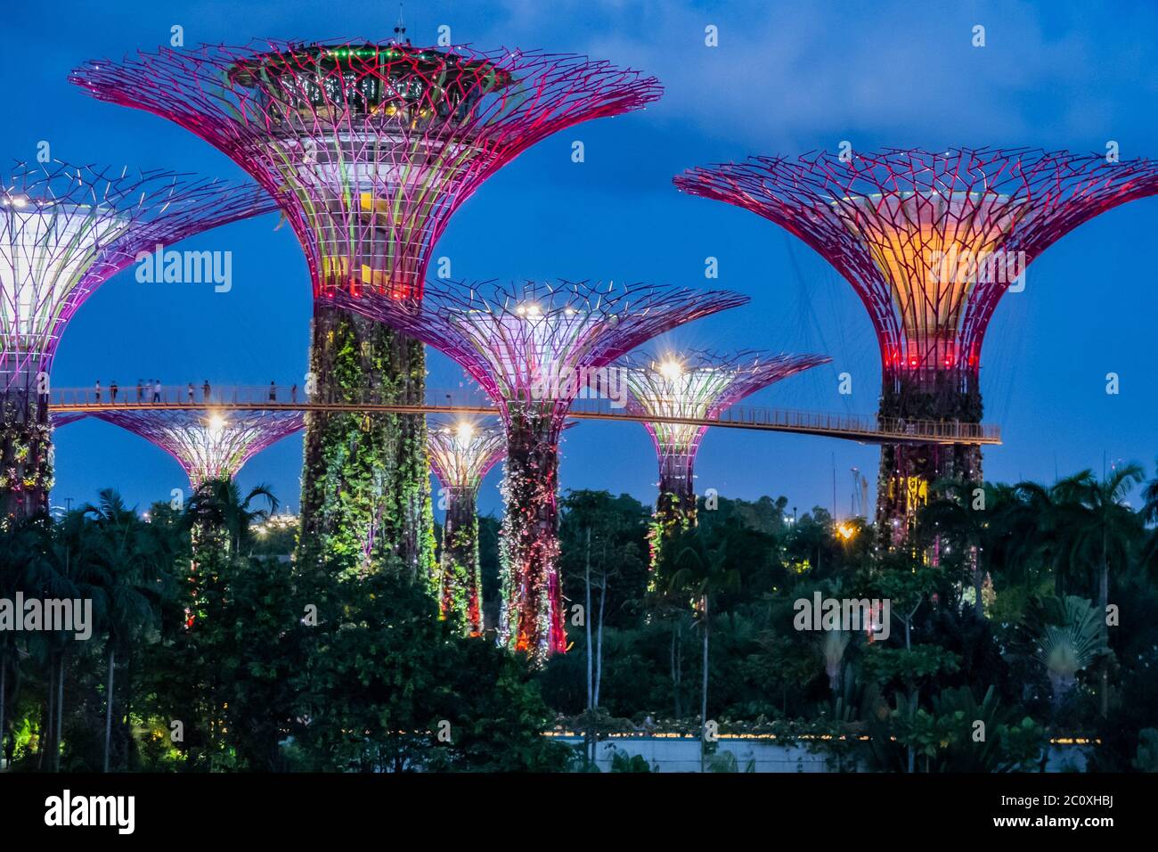 Vista notturna dei Giardini sulla Baia. Singapore Foto Stock