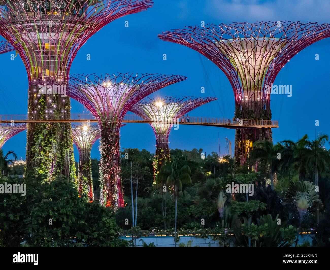 Vista notturna dei Giardini sulla Baia. Singapore Foto Stock