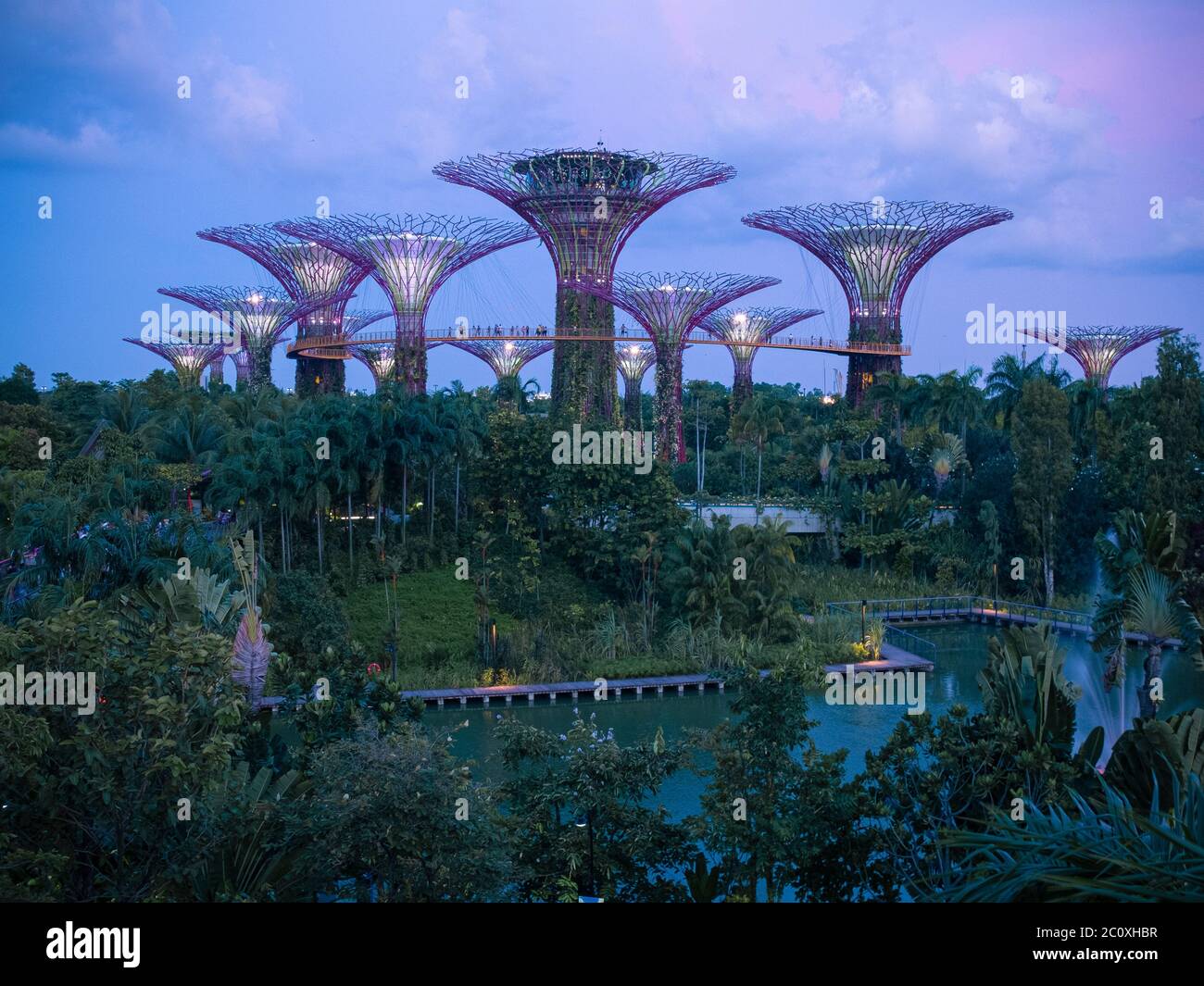 Vista notturna dei Giardini sulla Baia. Singapore Foto Stock