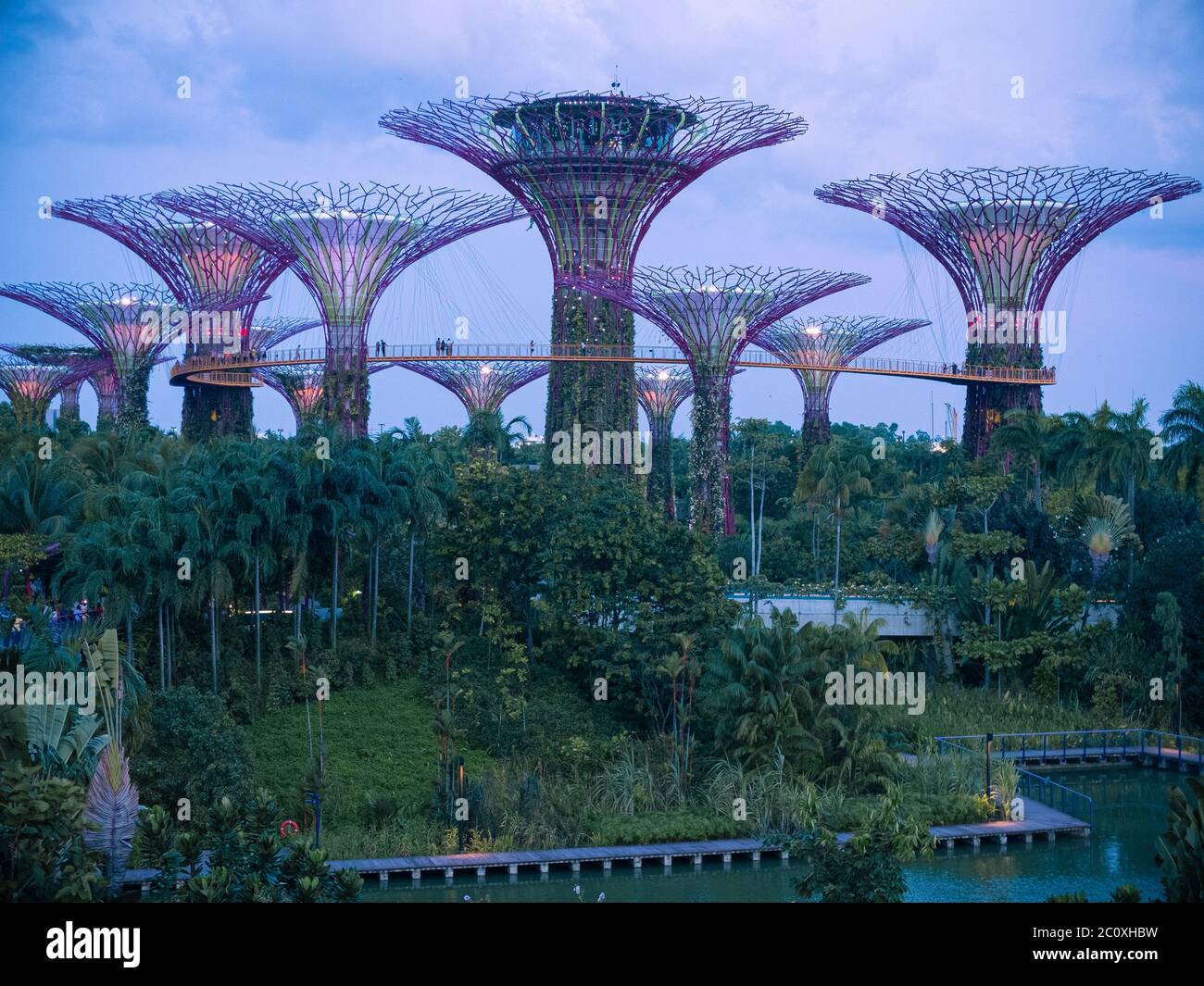 Giardini della baia. Singapore Foto Stock
