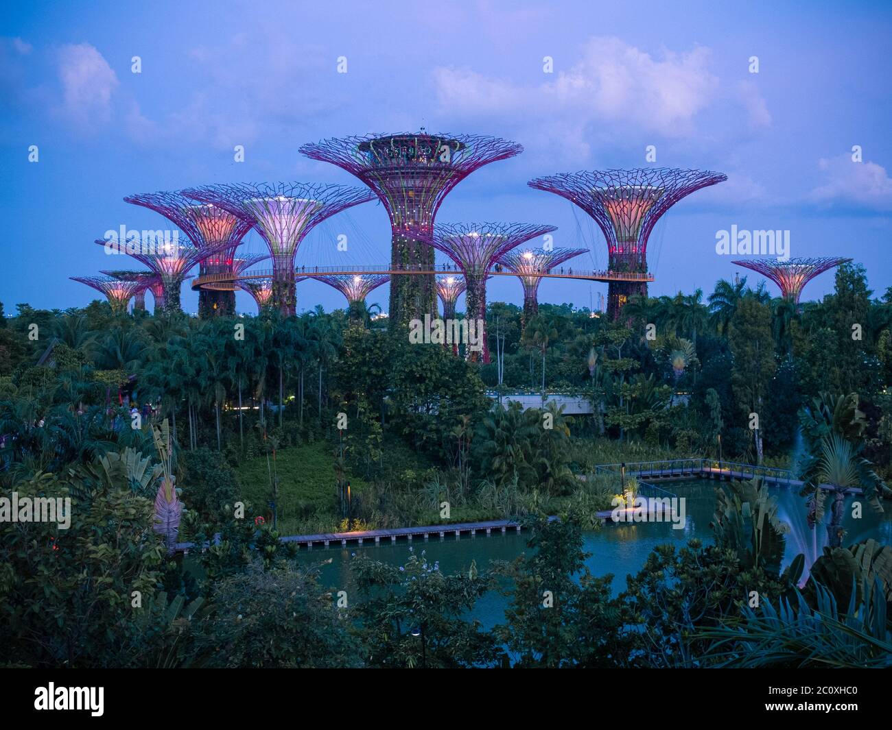 Vista notturna dei Giardini sulla Baia. Singapore Foto Stock