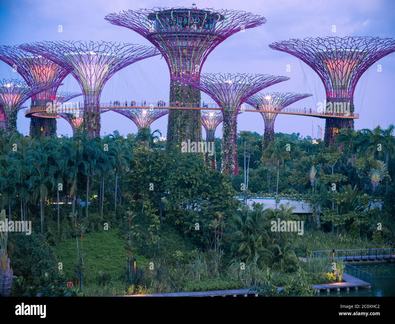 Vista notturna dei Giardini sulla Baia. Singapore Foto Stock