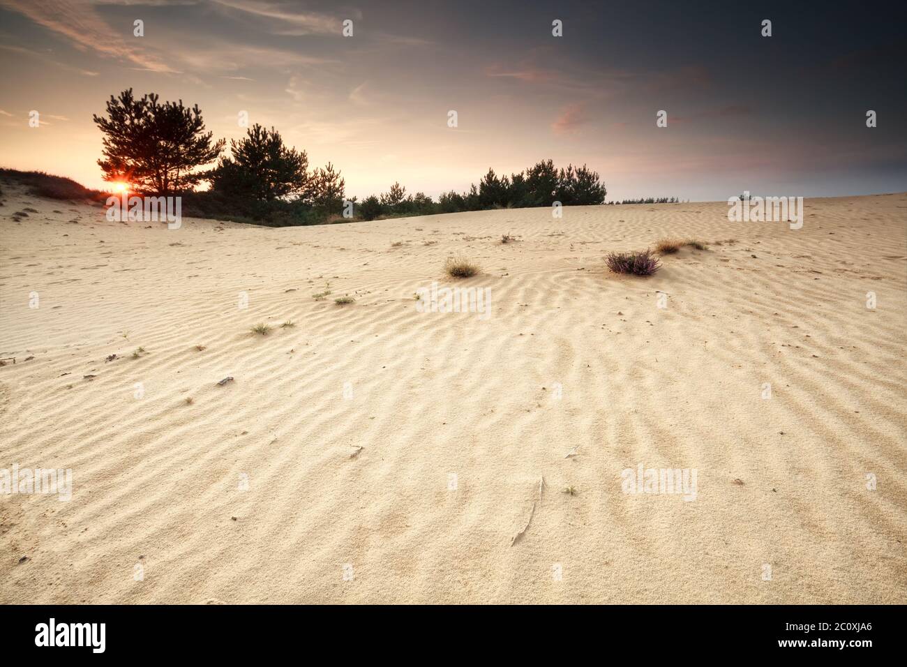 tramonto su duna di sabbia con texture Foto Stock
