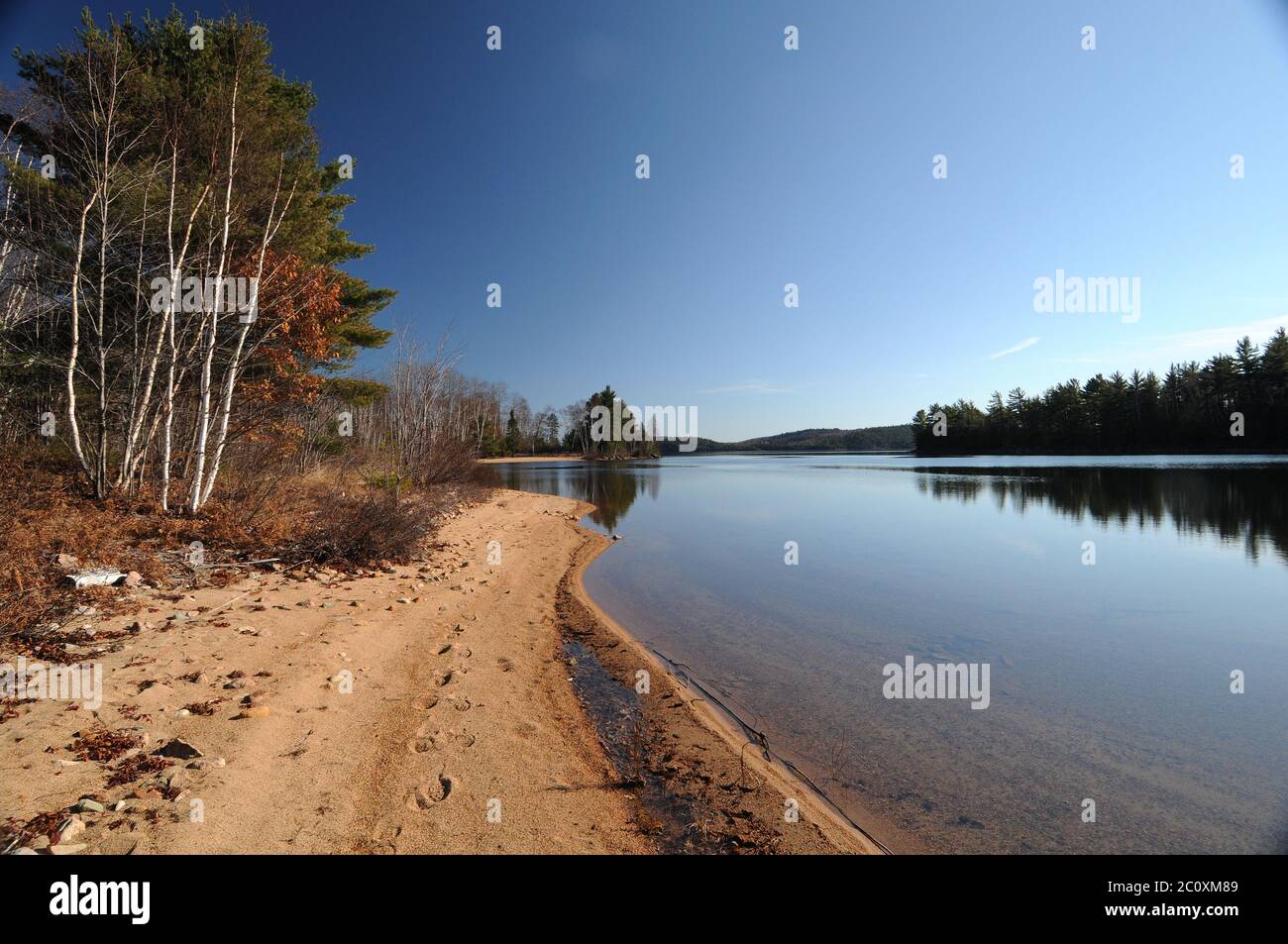 Scenario estivo lungo una spiaggia con sentieri che mostrano la sua stagione estiva con un cielo bleu. Foto Stock