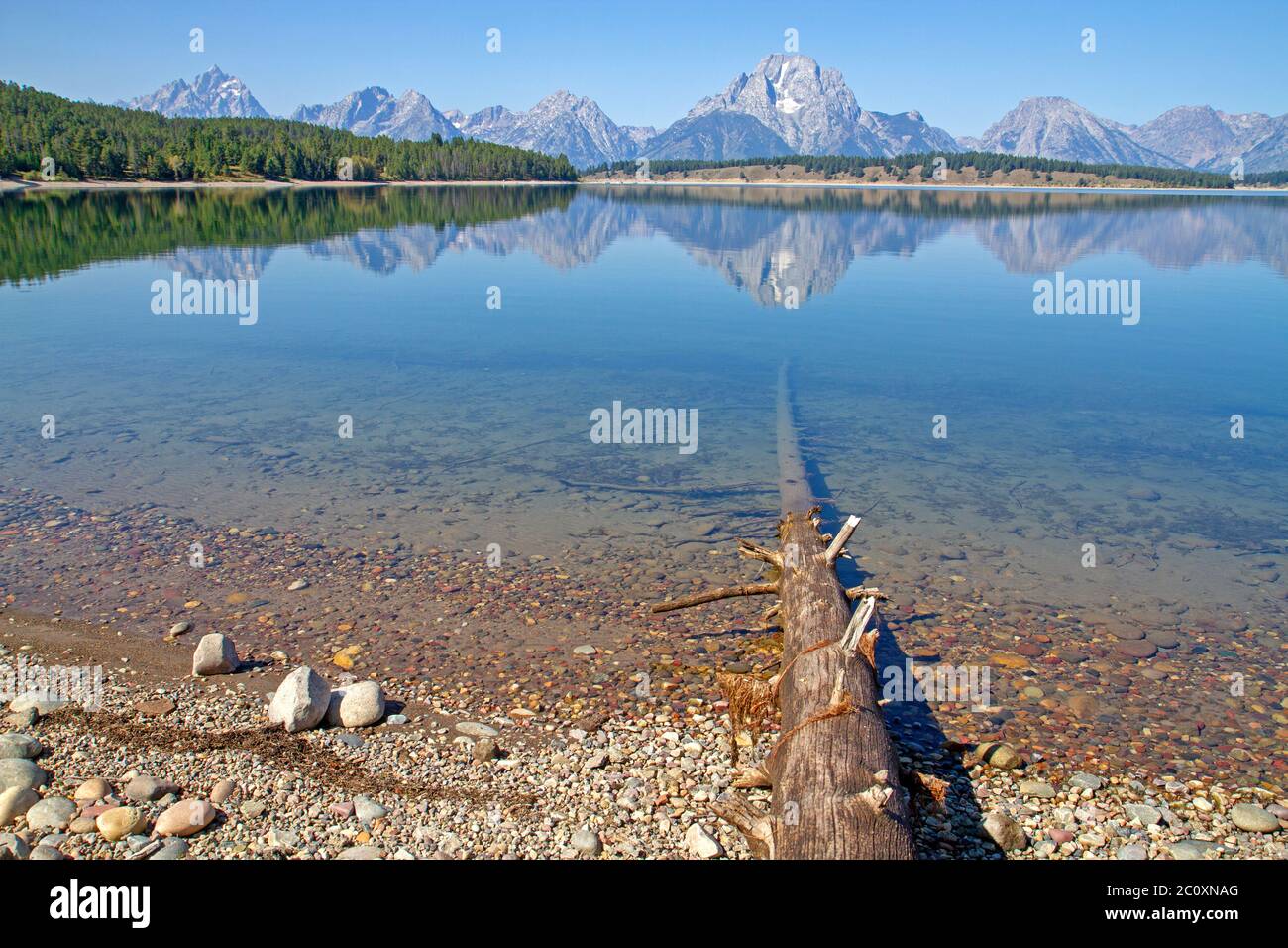 Il lago Jackson e la gamma Teton Foto Stock