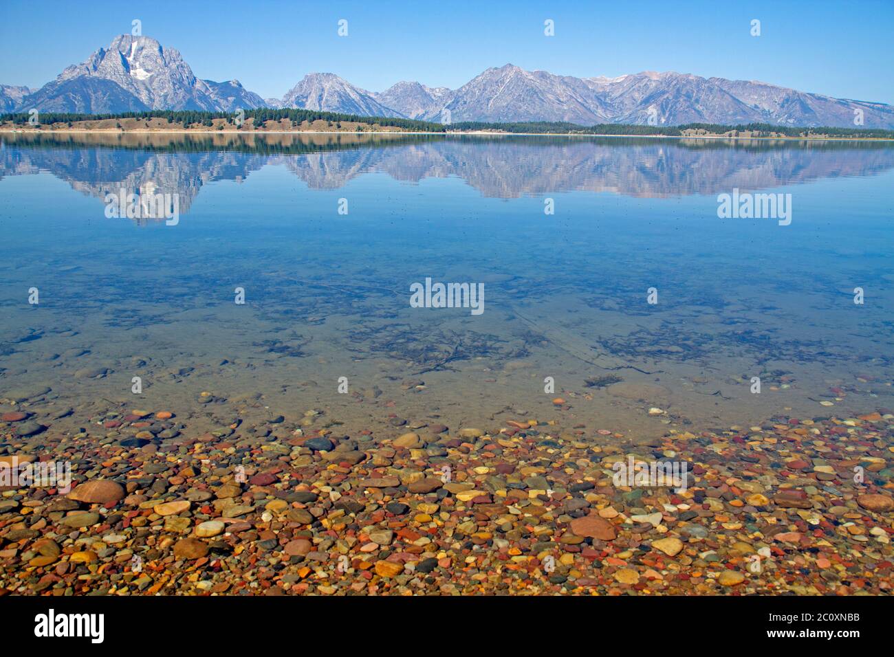 Il lago Jackson e la gamma Teton Foto Stock