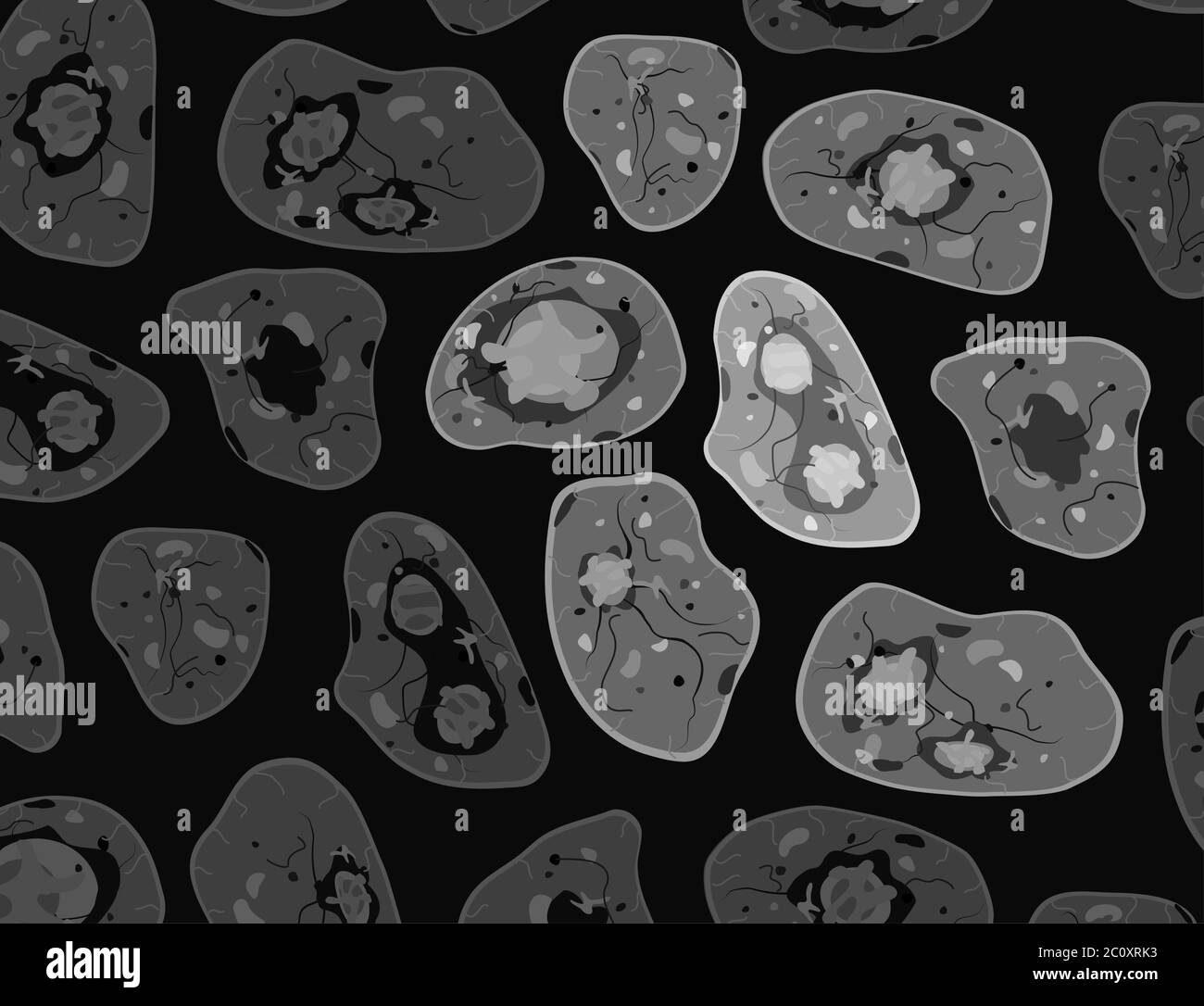 Elementi microscopici per biologia cellulare, unici, cartoni animati vettoriali in grigio, illustrazione orizzontale Illustrazione Vettoriale