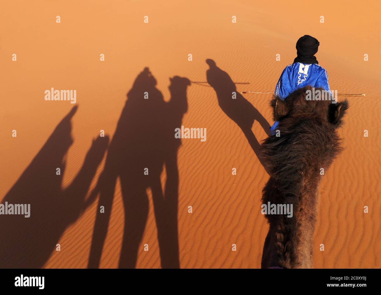 Giro in cammello da Merzouga alle dune di Erg Chebbi in Marocco Foto Stock