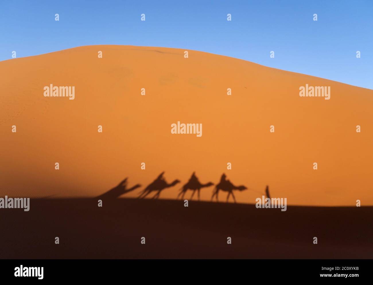 Ombra di una carovana nel deserto Erg Chebbi in Marocco Foto Stock