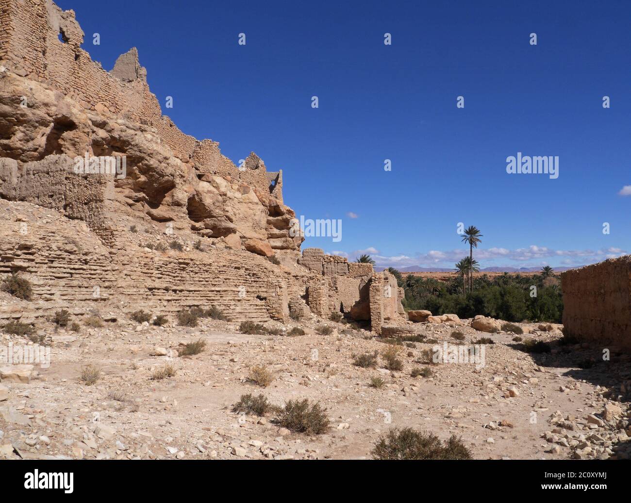 Rovine del ksar a Meski e oasi con palme da dattero a Marokko Foto Stock