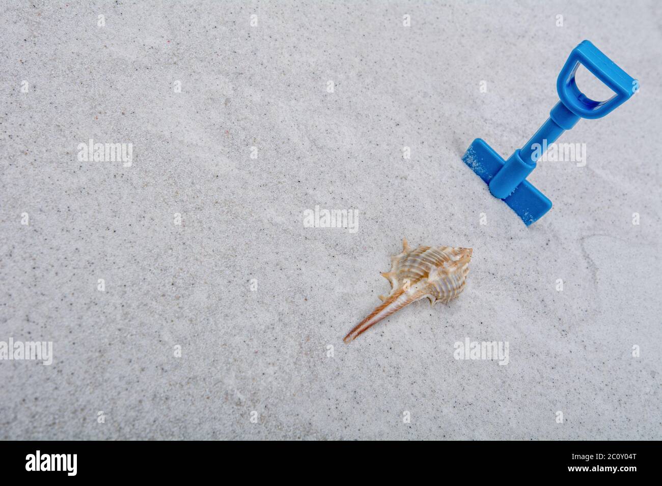 Guscio marino e paletta blu su fondo sabbioso Foto Stock