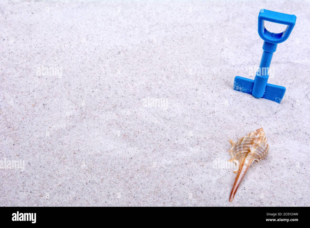 Guscio marine blu e scoop su un grigio Sfondo sabbia Foto Stock