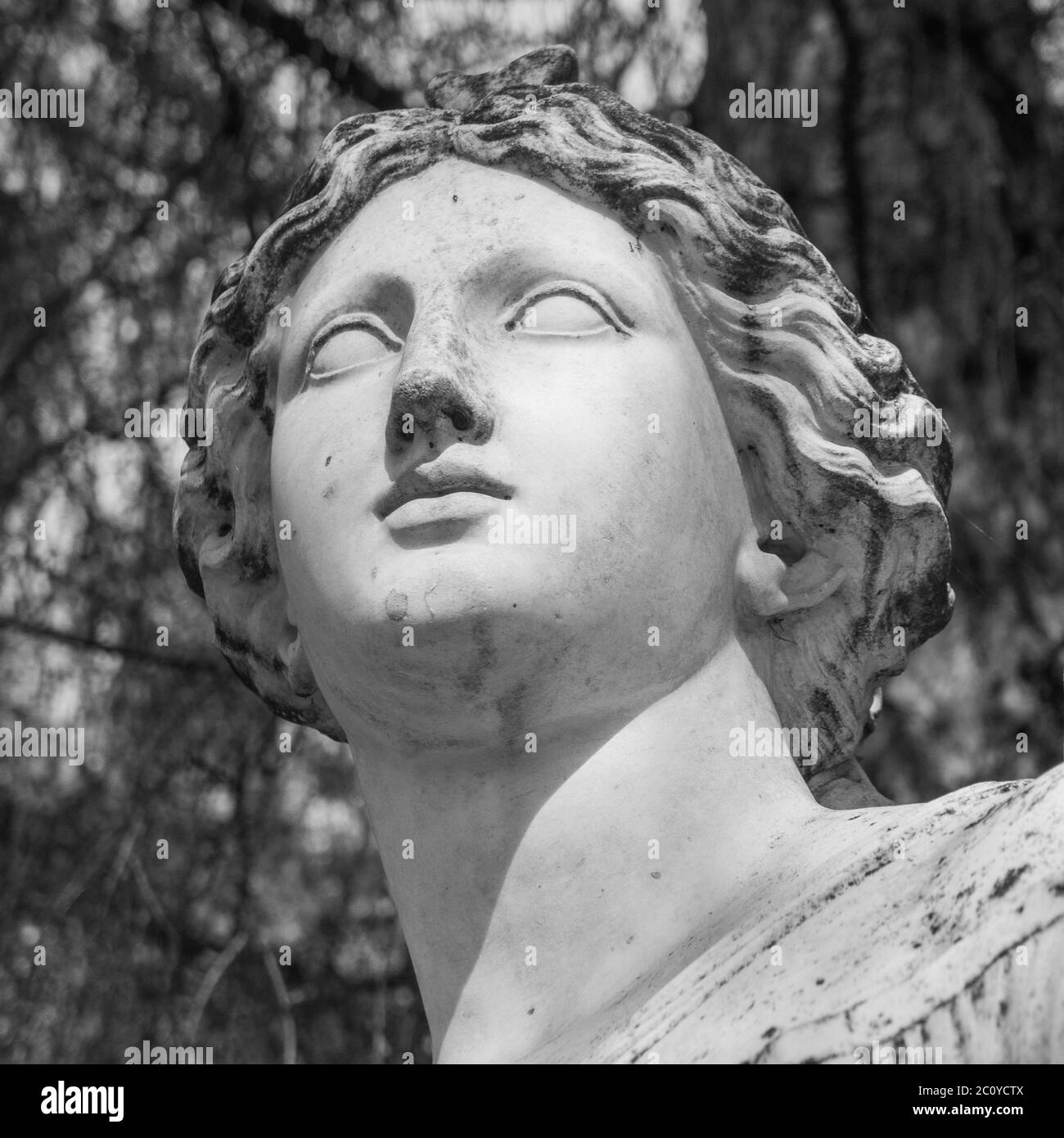 Testa statua di marmo di donna nel parco Foto Stock