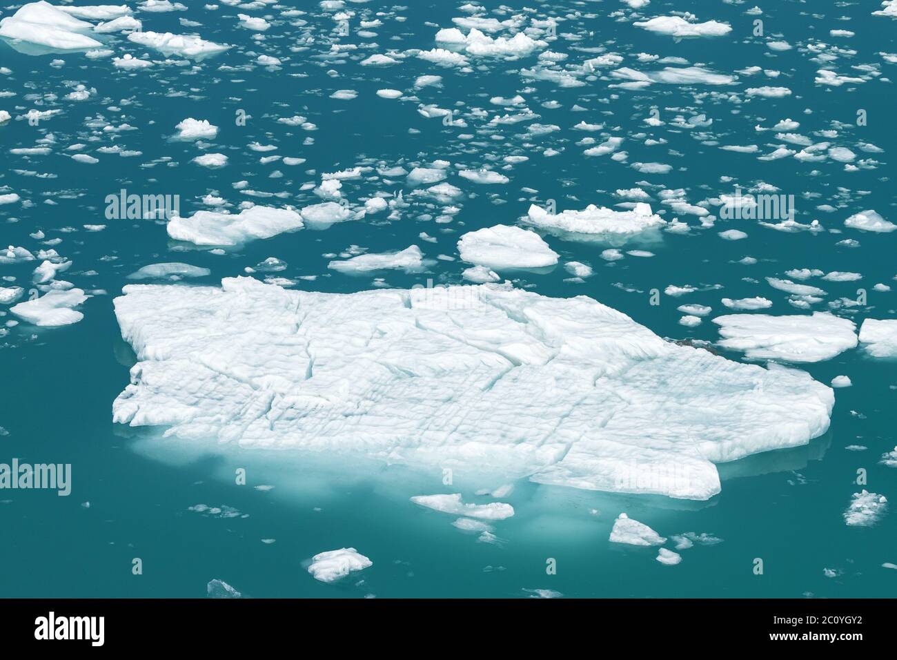 Iceberg da Tracy Arm Fjord in Alaska Foto Stock