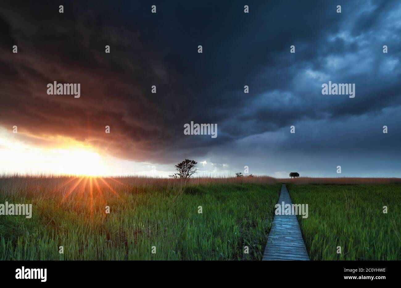 sole prima pioggia tempesta su sentiero di legno Foto Stock