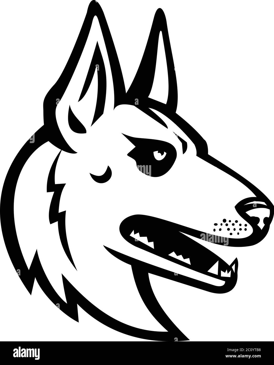 Mascot illustrazione in bianco e nero della testa di Malinois belga, cane pastore belga, Berger Belge Malinois, Mechelse Herder o Mechelaar Mechelse SC Illustrazione Vettoriale