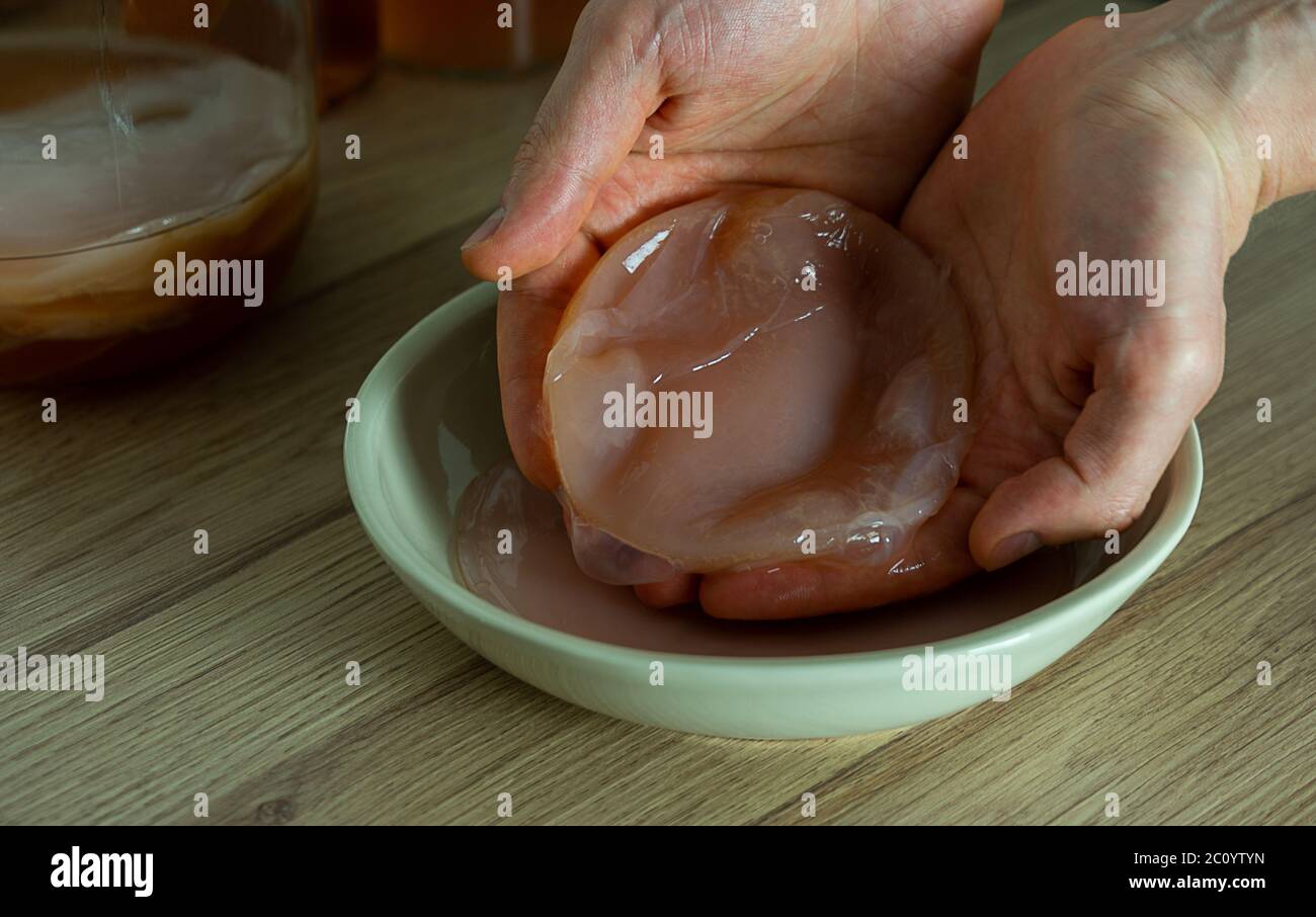 Mani dell'uomo che tengono il cucchiaio. Preparazione di una bevanda probiotica fermentata Foto Stock