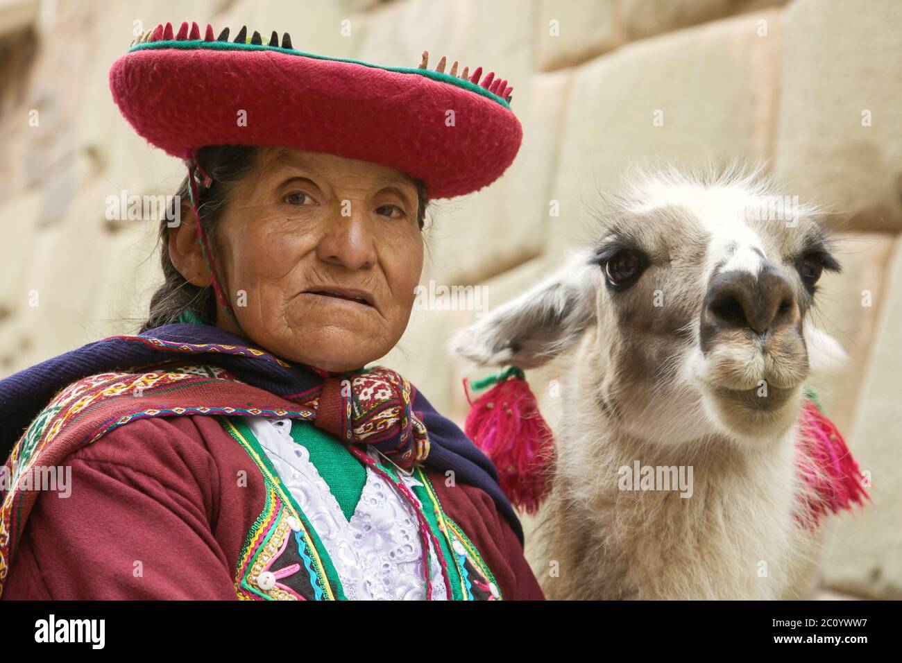 Donna peruviana di quechua con lama Foto stock - Alamy