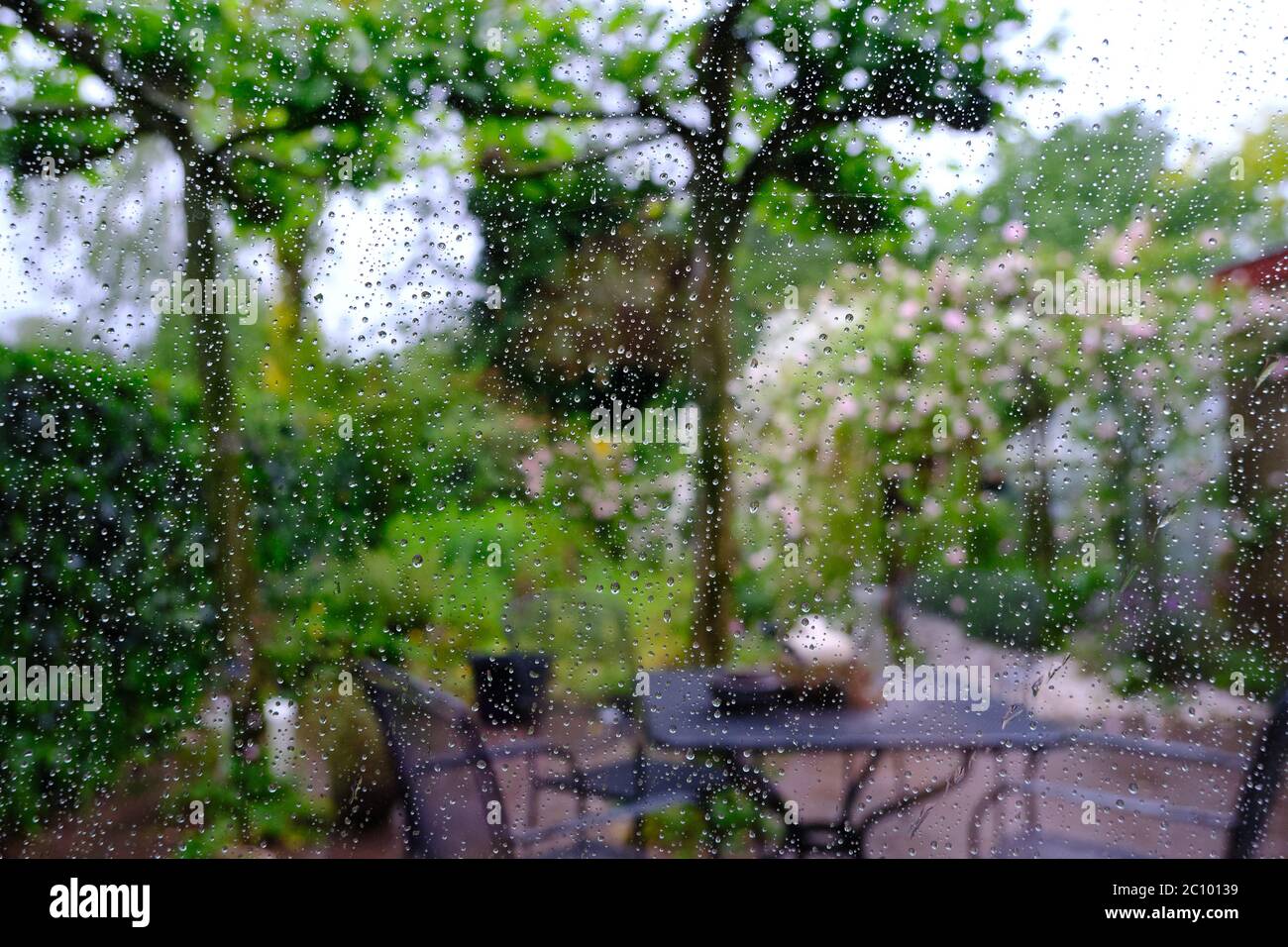 Più lunga siccità nei Paesi Bassi finalmente gocce di pioggia su un vetro finestra, giardino poco affilato in background. Primavera. Messa a fuoco selettiva Foto Stock